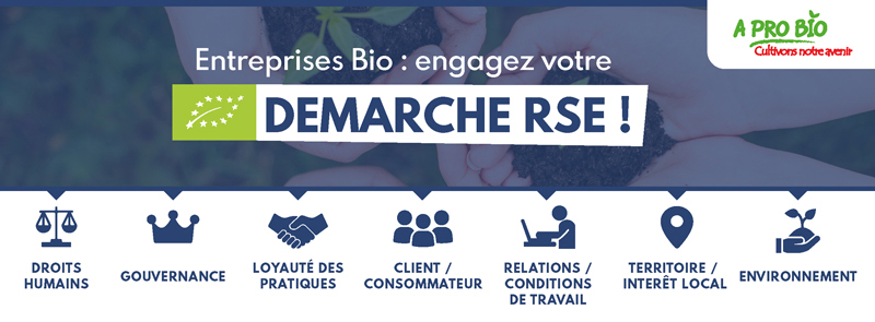 📅 26 février | Démarche RSE : Identifiez vos enjeux sociaux, environnementaux et économiques avec Réseau Alliances !